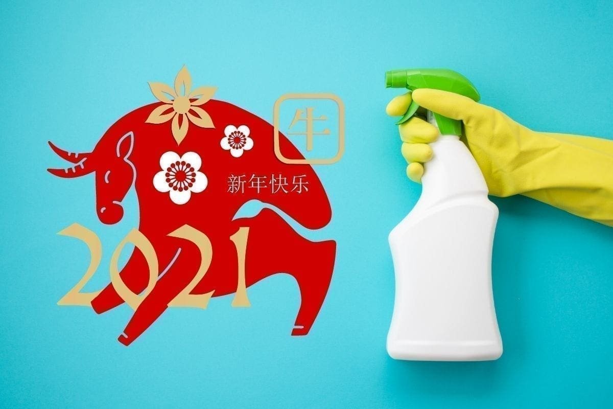 Cleaning tips for pest prevention this Chinese New Year