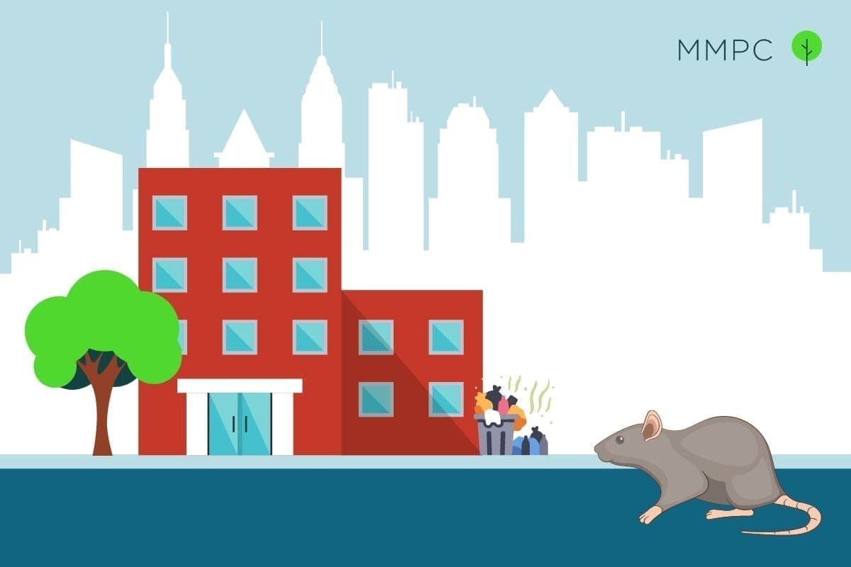 Preventing mice and rats in NYC in 2021