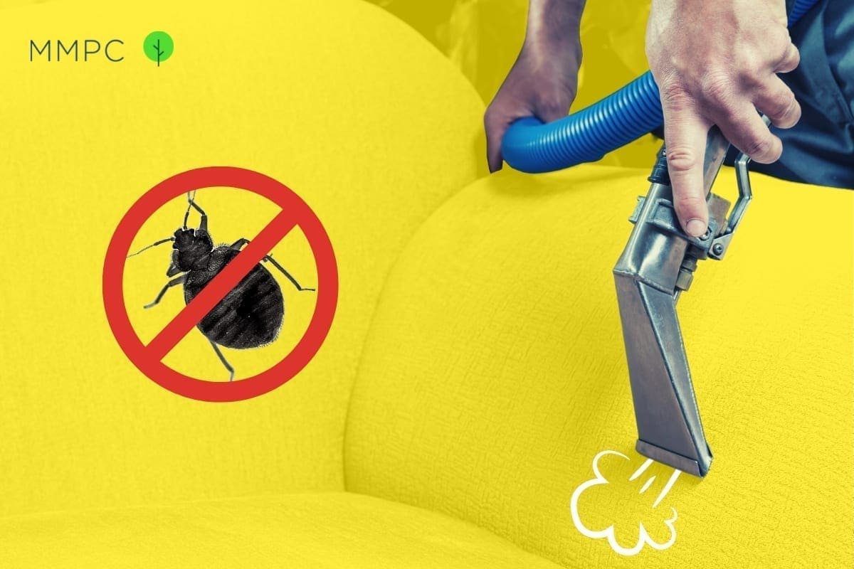 How steam kills bed bugs.