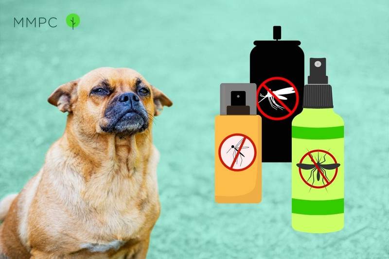Mosquito repellant and yard sprays that are safe around pets.