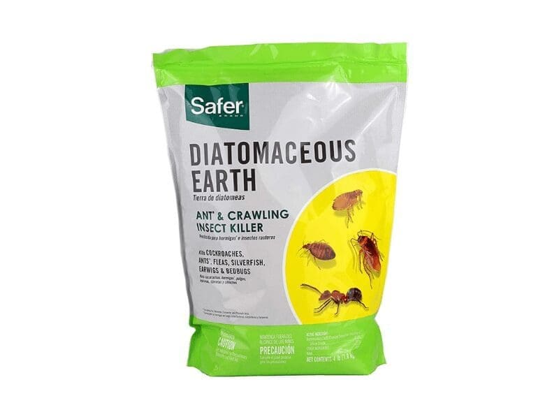 Diatomaceous Earth: The Natural Cockroach Killer