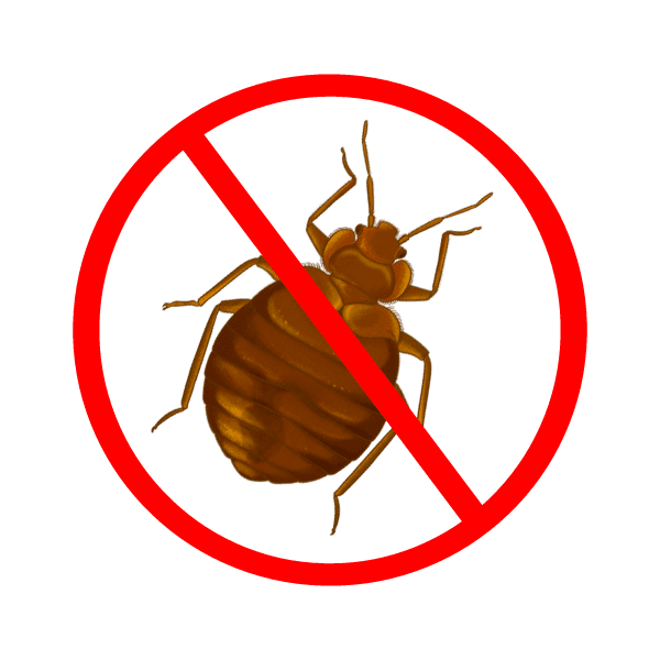 bed bug services
