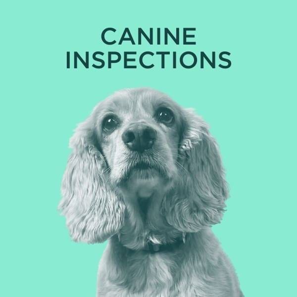 canine inspections