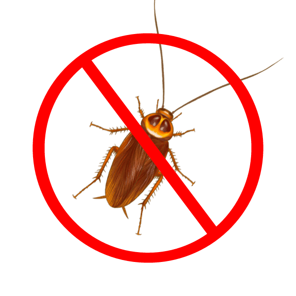 cockroach control services