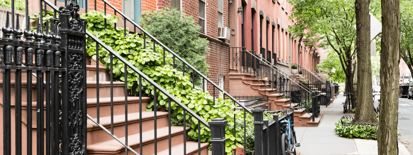 NYC neighborhood with eco-friendly pest control