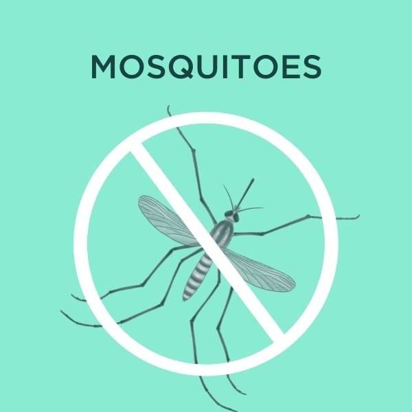 mosquito services cover