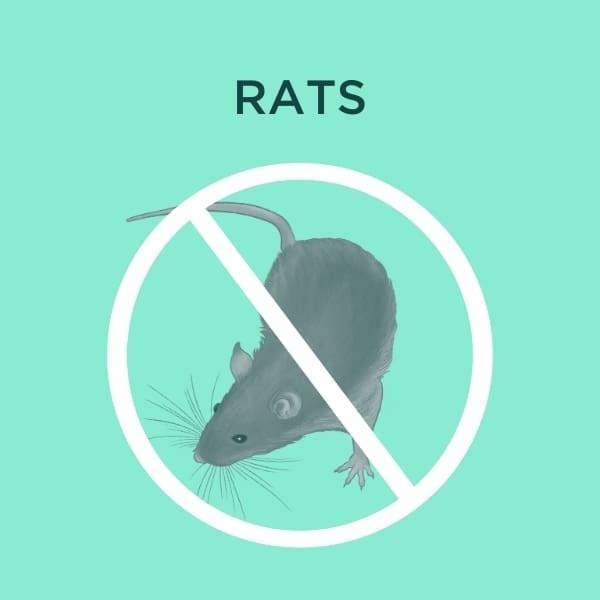 rat services cover
