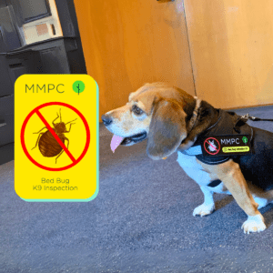 Certified K9 inspection for bed bugs Matcha