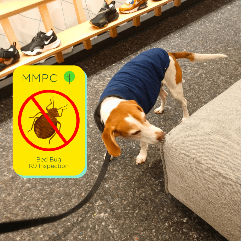 Bed Bug K9 Inspections MMPC