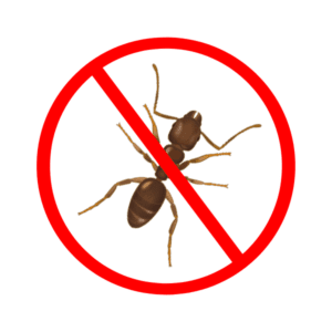 ant control services