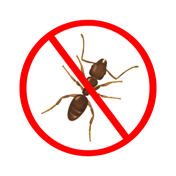 ant control services