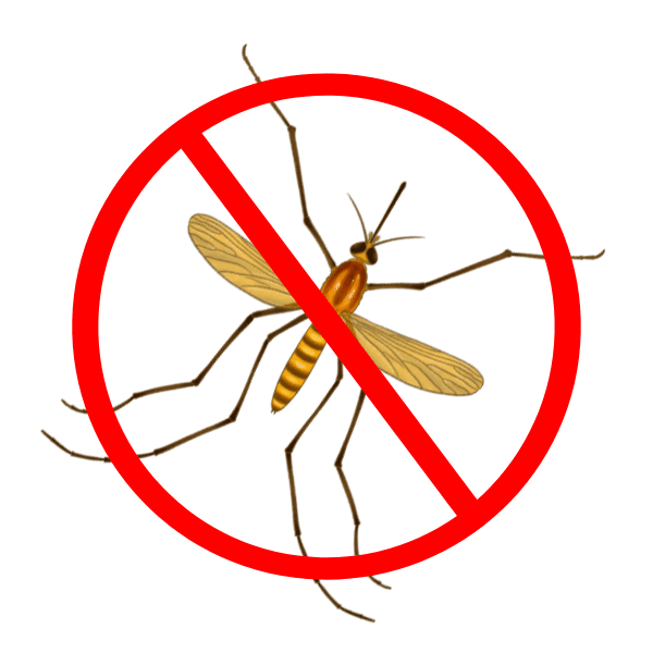 mosquito control services