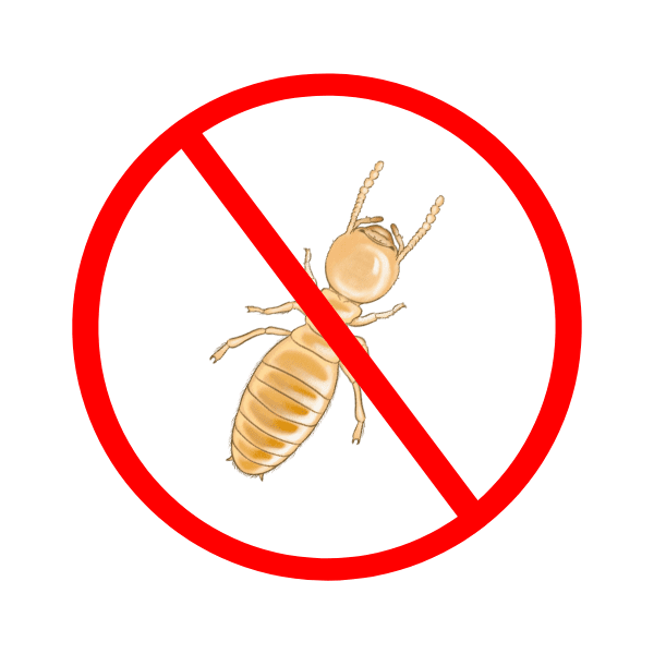 termite control services