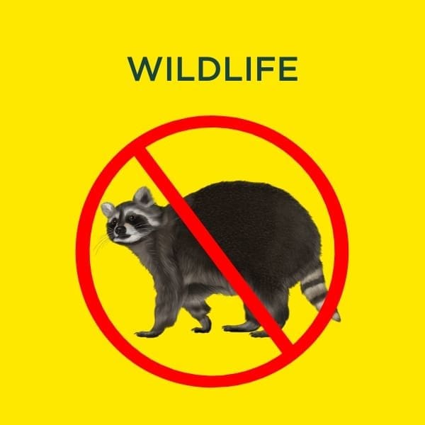 wildlife services