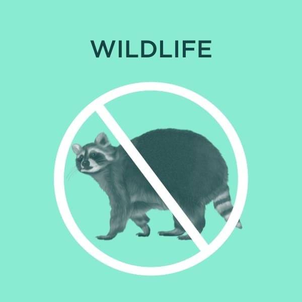 wildlife services cover