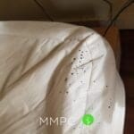 more fecal spotting on mattress