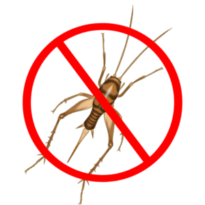 cricket control services