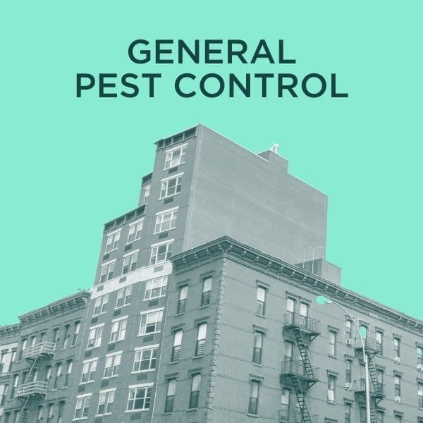 general pest control