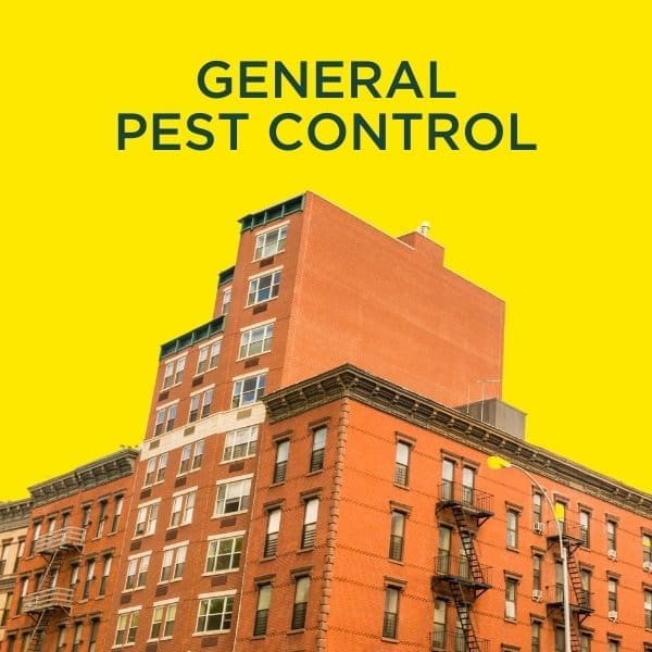 general pest control