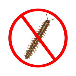 millipede control services