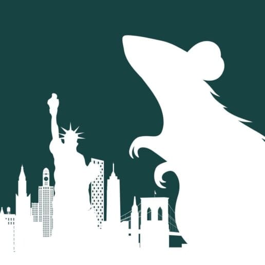 50000 Rats 3 Million Rats in NYC - MMPC