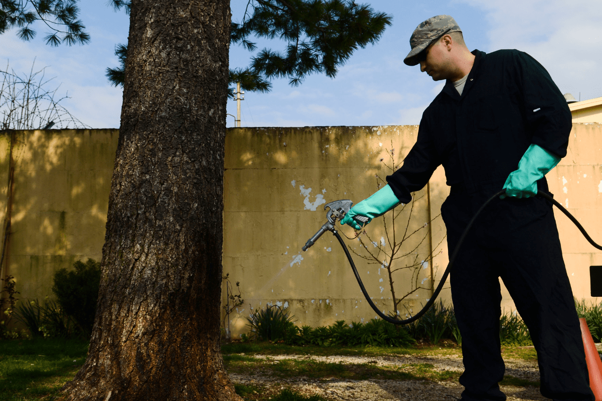 MMPC Pest Blog - Pest control articles, tips, infographics, and guides