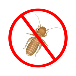 booklice control