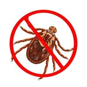 tick control