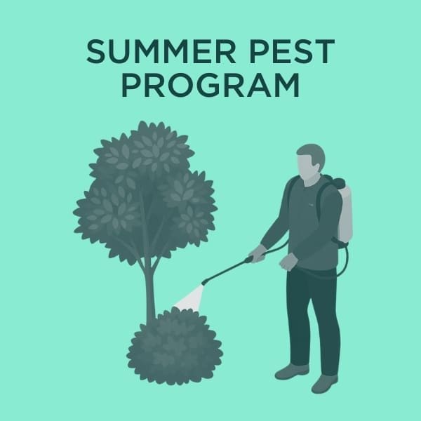 summer pest program