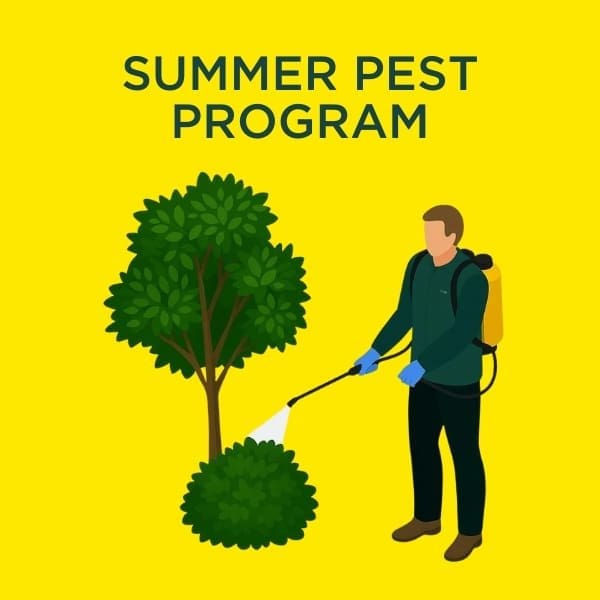 summer pest program