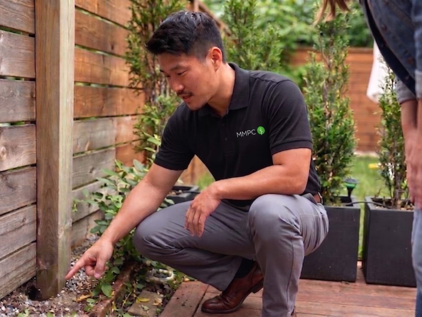 MMPC rat control inspector points out a burrow